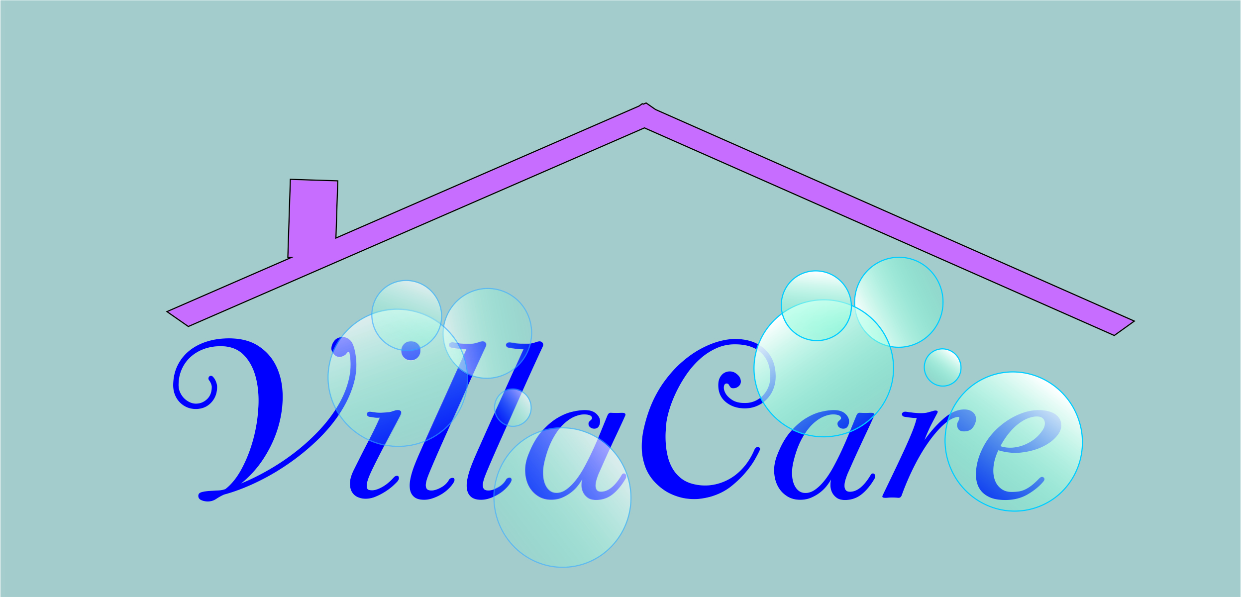 Logo Villacare